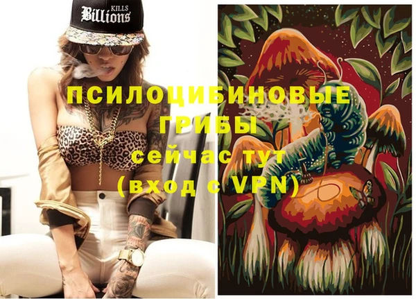 бутират Алексеевка